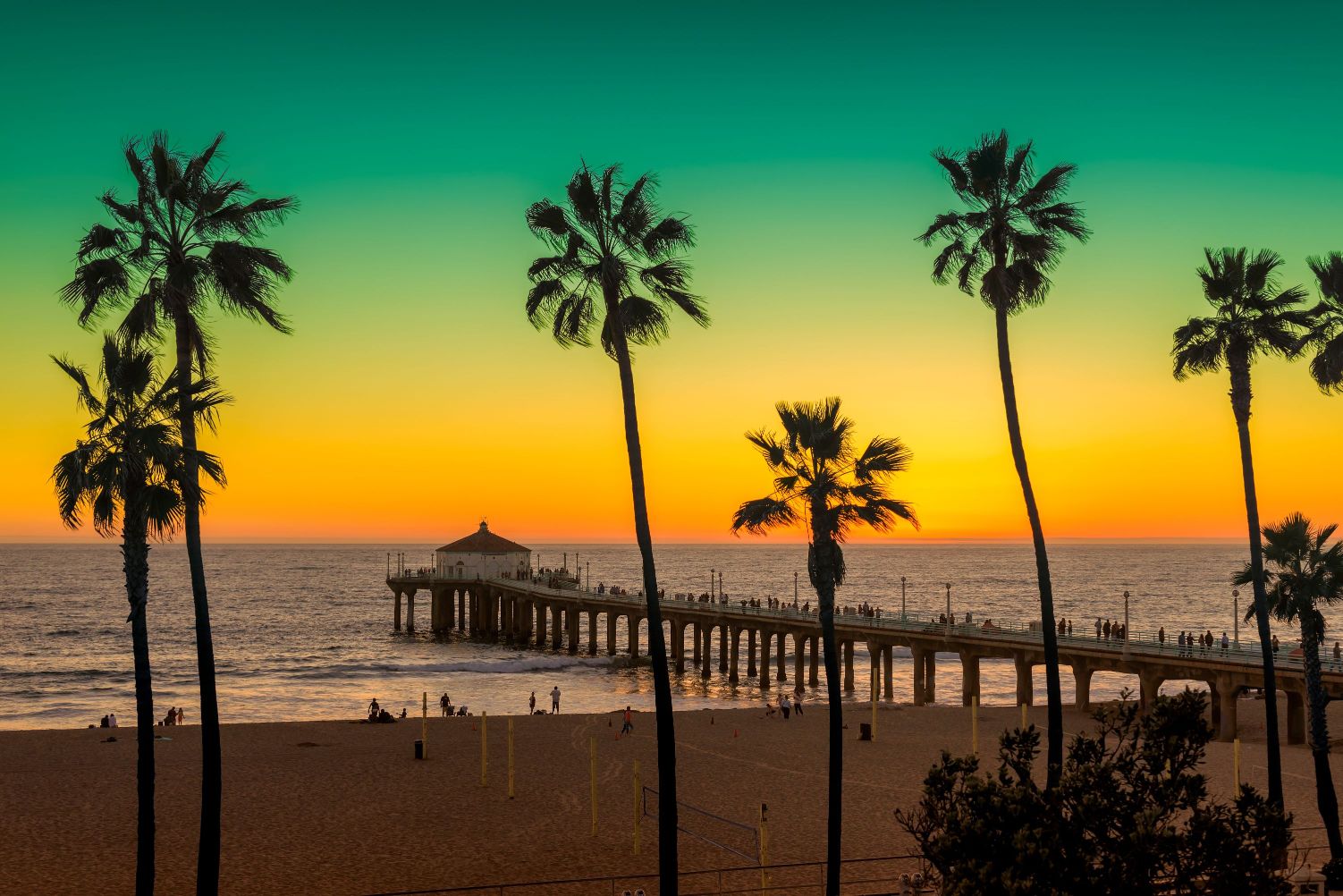 Pier and palm trees on the coast during the sunset