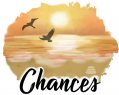 chancescounseling