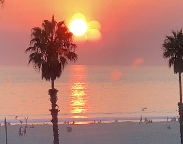 Palm trees on the beach with a sunset behind them